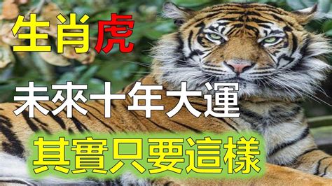 1974屬虎運勢|1974年屬虎人2022年運勢及運程詳解74年出生48歲屬虎2022本命。